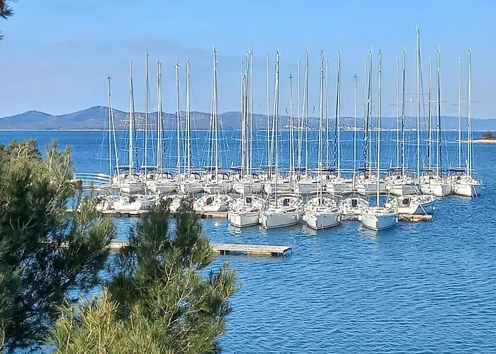 Maja _ Maja * ドラゲ